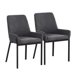 Esszimmerstuhl DIEGO 2er Set grau