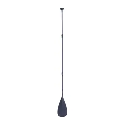 Paddel Carbon 100