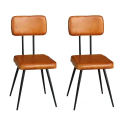 Esszimmerstuhl Leder EMMA 2er Set