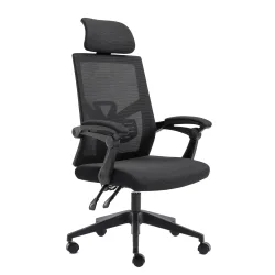 Bürostuhl Kippbar DOMINUS schwarz