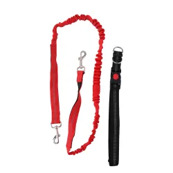 Joggingleine mit Bauchgurt 160 - 190 cm