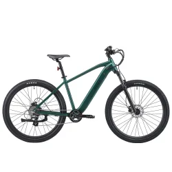 E-Bike Mountainbike 29