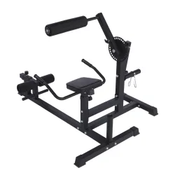 Bauchtrainer Rückentrainer APEX
