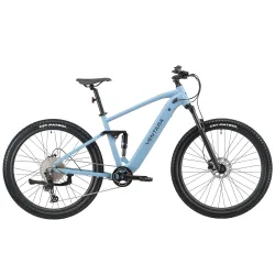 E-Bike Fully Mountainbike 29