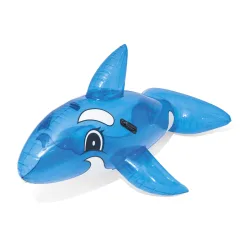 Schwimmtier Wal