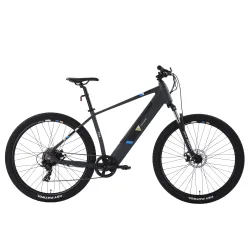 E-Bike Mountainbike 29
