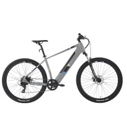 E-Bike Mountainbike 29