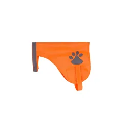 Leuchtweste für Hunde Grösse S / M orange