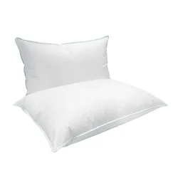 Kopfkissen SWAN 65 x 65 cm 2er Set weiss
