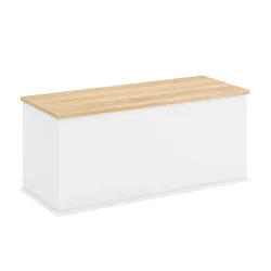 Truhe ARLES 100 x 40 x 47 cm weiss