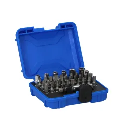 Bit- und Steckschlüssel Set 37-teilig