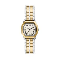Fossil - Analoguhr, Harlow, 27mm, Zweifarbig