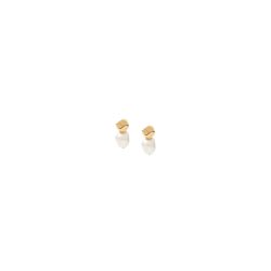 Skagen SKJ1881710 Damen Ohrringe – Eleganz im minimalistischen Design .