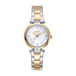 DKNY DK1L043M0075 Damen Classic Elegant