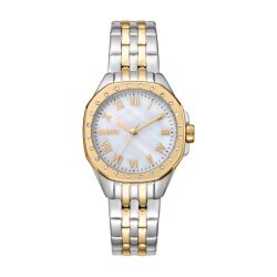 DKNY DK1L013M0085 Damenuhr Classic Premium