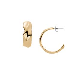 Skagen SKJ1903710 Ohrringe Gold