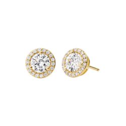 Michael Kors MKC1035AN710 Ohrringe