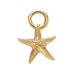 Paul Hewitt PH-JE-0426 Starfish Charm Gold