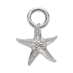 Paul Hewitt PH-JE-0428 Starfish Charm Silber