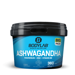 BIG PACK Ashwagandha + Magnesium - Zinc - Vitamin B6 (360 Kapseln)