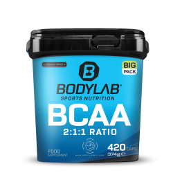 BIG PACK BCAA (420 Kapseln)