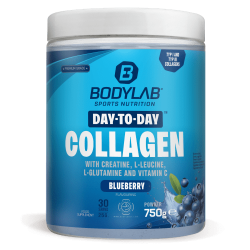 Day to Day Collagen - 750g - Blueberry