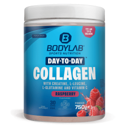 Day to Day Collagen - 750g - Raspberry