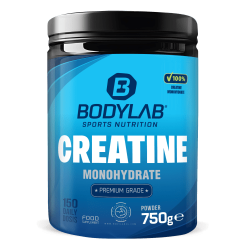 Creatine Monohydrate Powder (750g)
