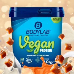 2 x Bodylab24 Vegan Protein (1000g)