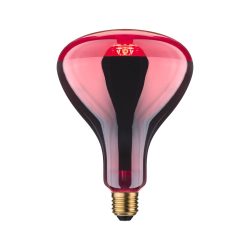 Paulmann Infrarotlampe E27 250 W (Ø x L) 125 mm x 173 mm 1 St.