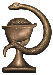 CZ/SK Metallabzeichen, bronze, 