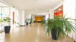 Apartamentos Centro Cancajos