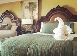 Pacific Terrace Hotel