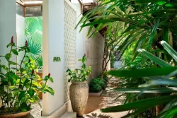AVANI+ Samui
