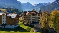 Hotel Falken
