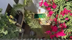 Dar Zaman