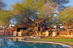 Intu Afrika Camelthorn Lodge