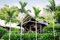 Hamilton Island Palm Bungalows