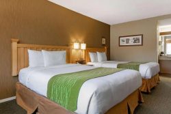 Econo Lodge Inn & Suites
