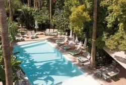 Les Jardins de la Medina