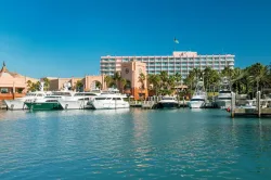 The Coral at Atlantis