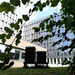 sylc. Apartmenthotel