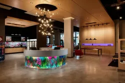 Aloft by Marriott Coral Gables