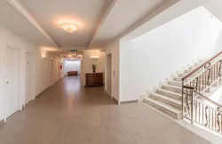 Delle Palme