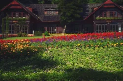 Flora Creek Chiang Mai