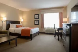 Amsterdam Inn & Suites Sussex