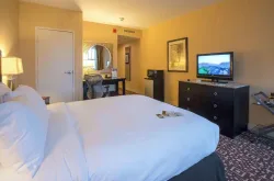 DoubleTree Suites by Hilton Detroit Downtown - Fort Shelby