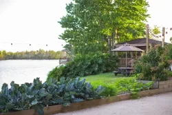 Marriott Orlando Airport Lakeside