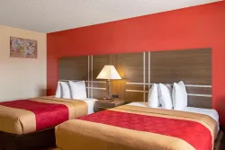 Econo Lodge Cortez