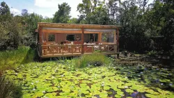 Forest Edge - Nature Lovers' Retreat